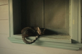 Sergen-Yalcin-Icin-Besiktas8217ta-Kritik-Esik-Kaybetme-Luksu-Yok-featured